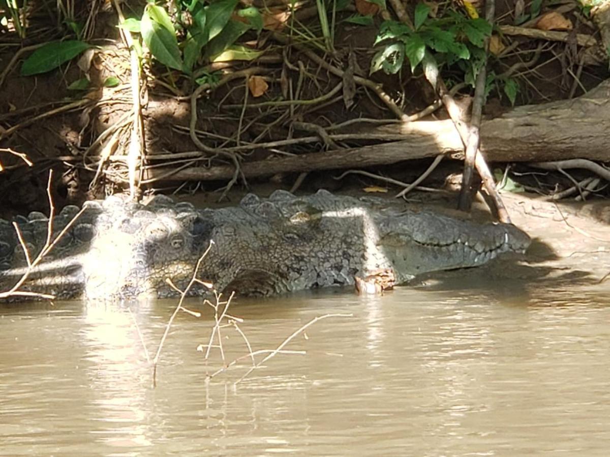 Casa Thirema Tortuguero Hotel Kültér fotó
