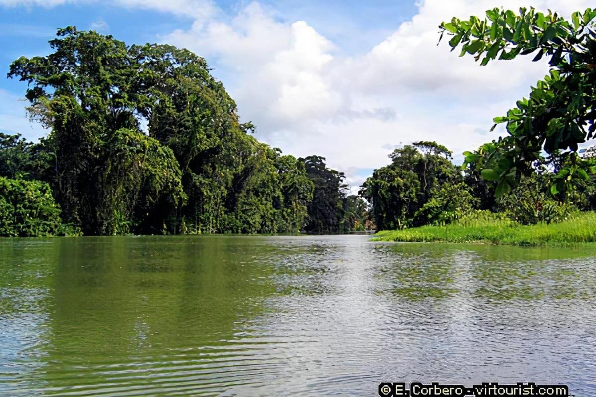 Casa Thirema Tortuguero Hotel Kültér fotó